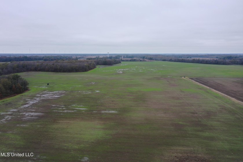 230+/- acres with 158 acres in farm cultivation receiving an - photo 9