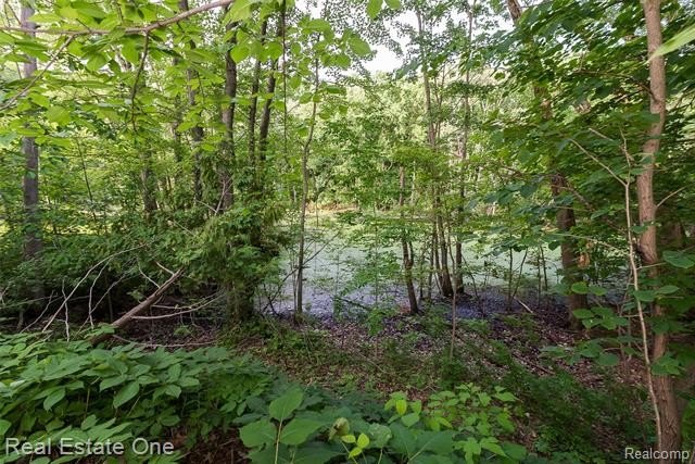 Contingent offer accepted-Buyer needs to sell home first. Other - photo 45