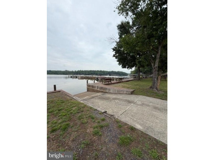 This 2.5 acre wooded property a gem! Enjoy this water access lot - photo 15