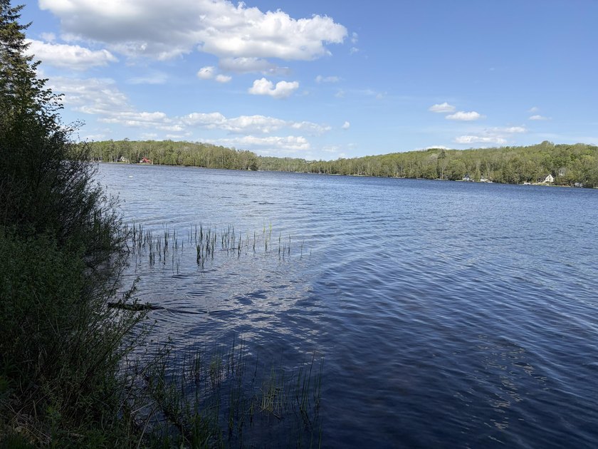 Just minutes from town yet privately tucked among the woods - photo 29