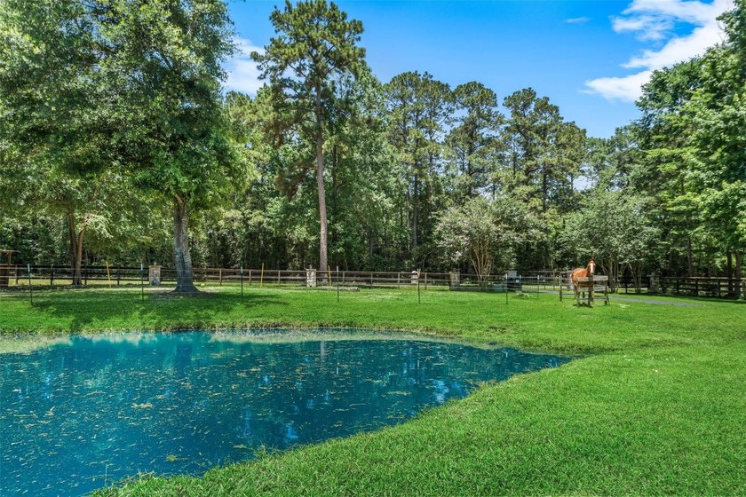 Stunning Country style stone home nestled on 1.5 acres with the - photo 5