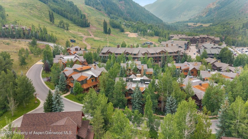 Completely reimagined in 2022, this spectacular Aspen Highlands - photo 27