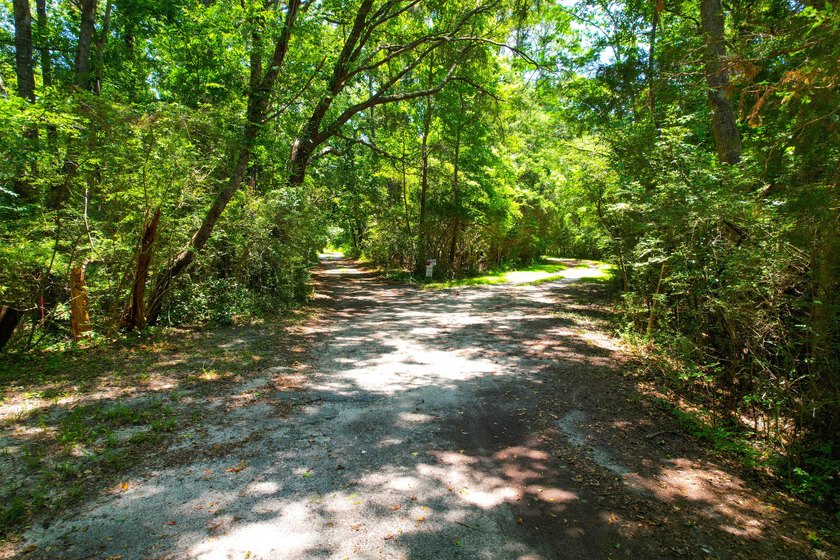 Vacant residential lot on Johns Island, SC offering flexibility - photo 3