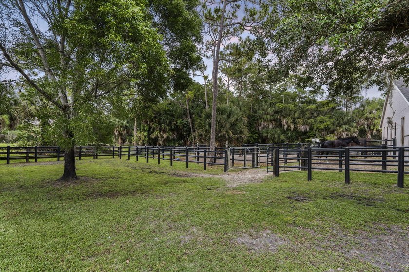 Discover an exceptional equestrian estate in Fox Trail on 5 - photo 12