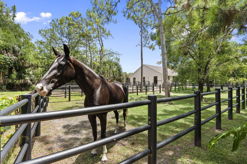Discover an exceptional equestrian estate in Fox Trail on 5 - photo 20