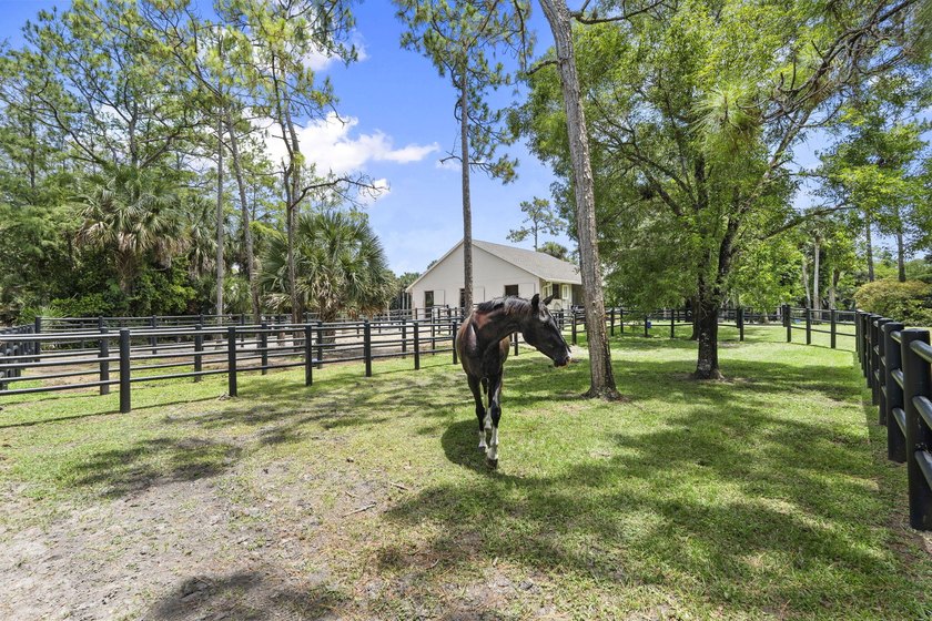 Discover an exceptional equestrian estate in Fox Trail on 5 - photo 21