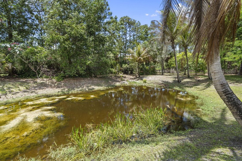 Discover an exceptional equestrian estate in Fox Trail on 5 - photo 42