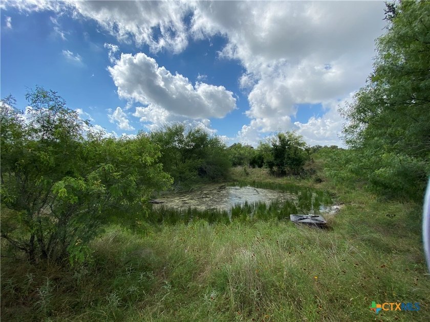 57+ acre Legacy Ranch encircled by protected Greenbelt! Ideal - photo 19