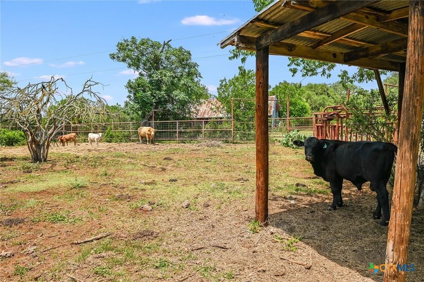57+ acre Legacy Ranch encircled by protected Greenbelt! Ideal - photo 32