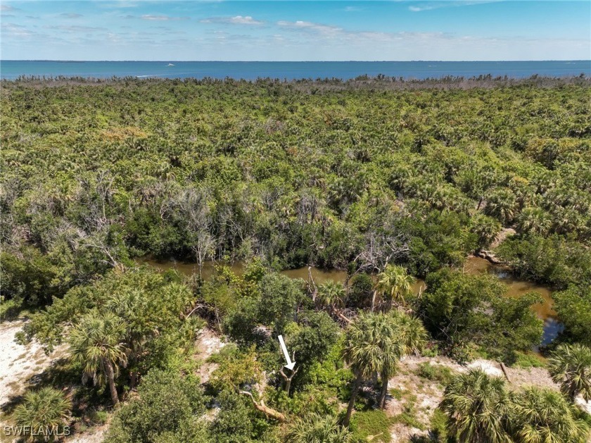 Very rare opportunity to purchase a vacant land parcels on the - photo 3