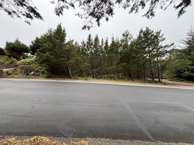 Shelter Cove Riverfront 1/2-acre lot. Build your dream home - photo 6
