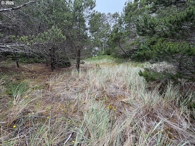 Shelter Cove Riverfront 1/2-acre lot. Build your dream home - photo 9