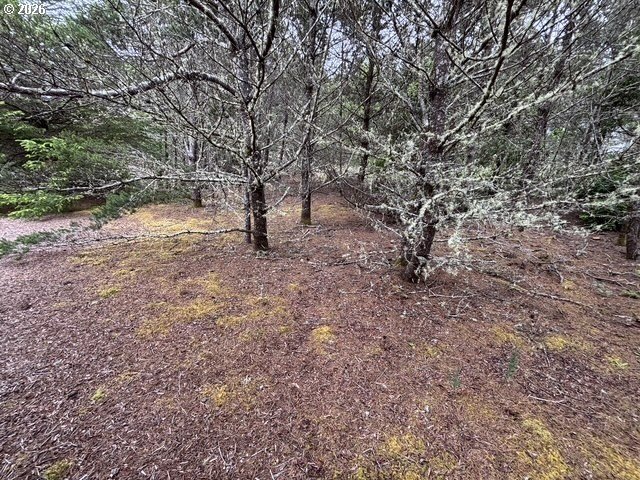 Shelter Cove Riverfront 1/2-acre lot. Build your dream home - photo 10
