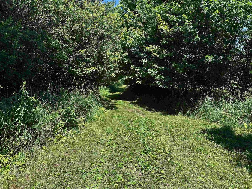 This 10 acres is well suited for building an executive retreat - photo 12