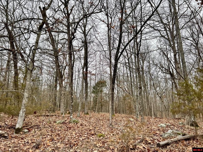 Enjoy some amazing views of the Bull Shoals Dam once you clear - photo 7