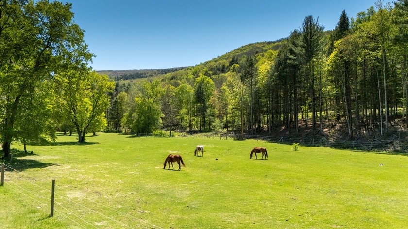 LUXURY PROPERTY AUCTION: 15-29 July. Accepting starting bids - photo 47