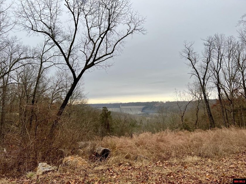 Enjoy some amazing views of the Bull Shoals Dam once you clear - photo 8