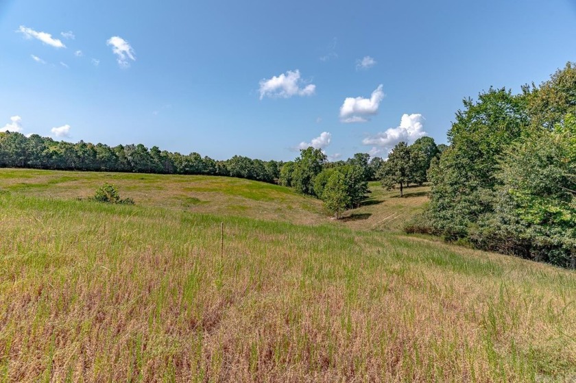 Welcome to Market 36.26 +/- acres on County Road 66 in Calico - photo 4