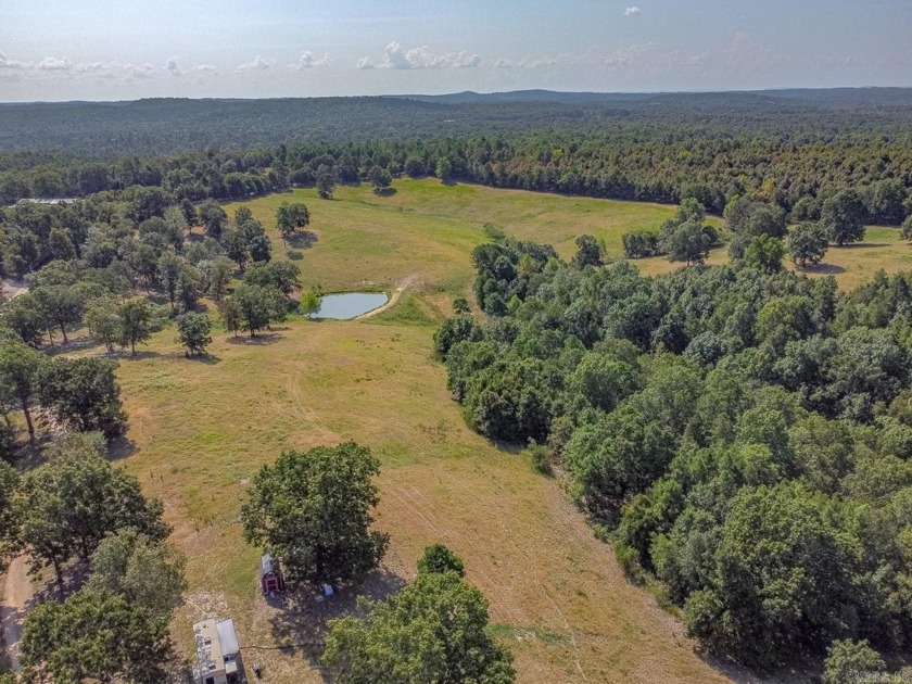 Welcome to Market 36.26 +/- acres on County Road 66 in Calico - photo 5