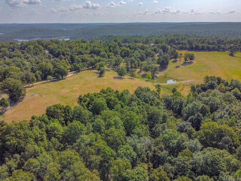 Welcome to Market 36.26 +/- acres on County Road 66 in Calico - photo 10