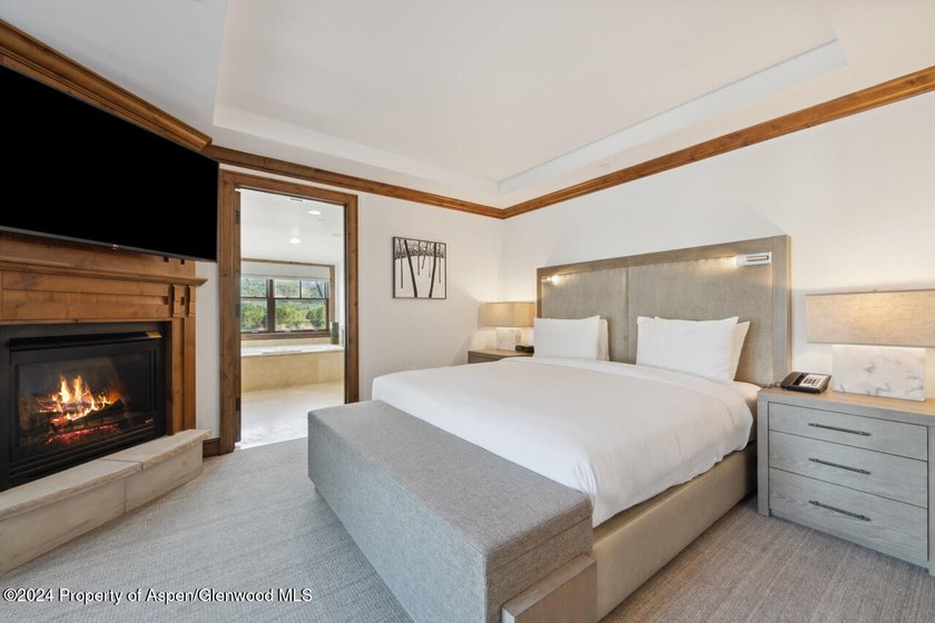 Unit 45 is a large penthouse luxury condo with views to Aspen - photo 13