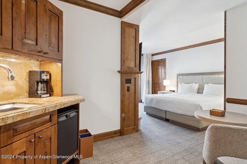 Unit 45 is a large penthouse luxury condo with views to Aspen - photo 29