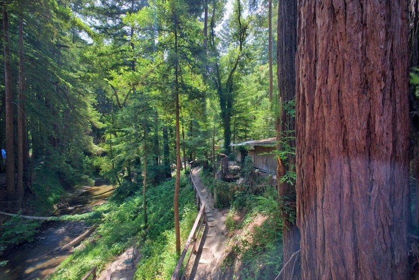 Enjoy a year-round creek from your own private mountain retreat - photo 22