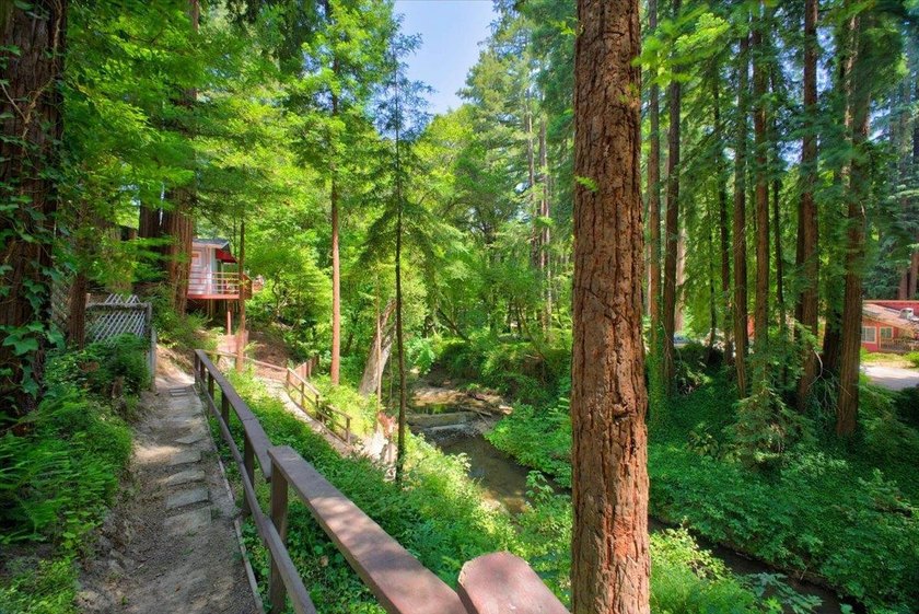 Enjoy a year-round creek from your own private mountain retreat - photo 23