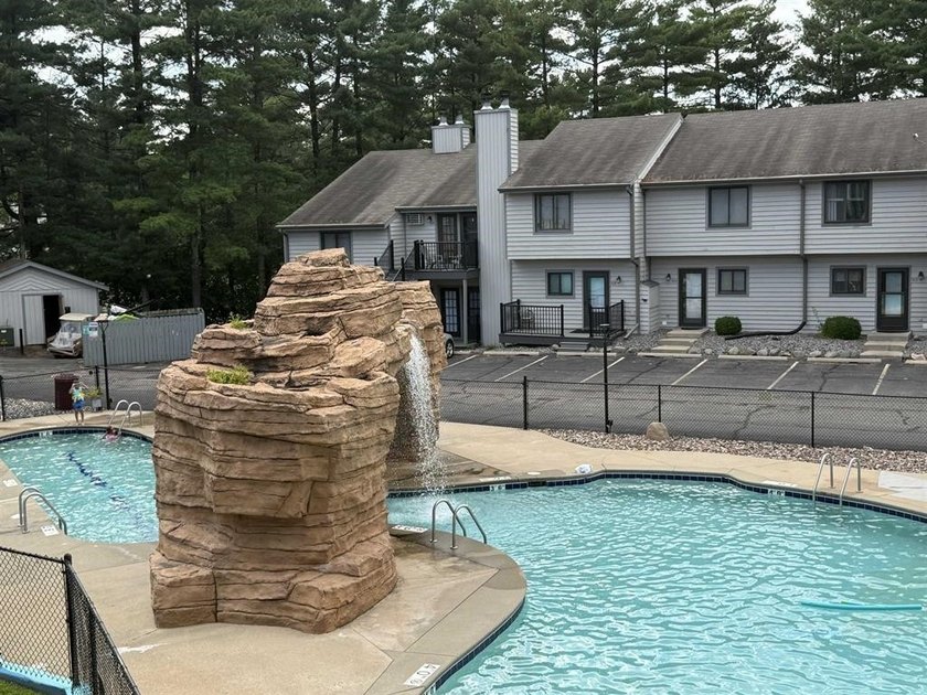 Welcome to this beautifully updated Wisconsin Dells condo - photo 29