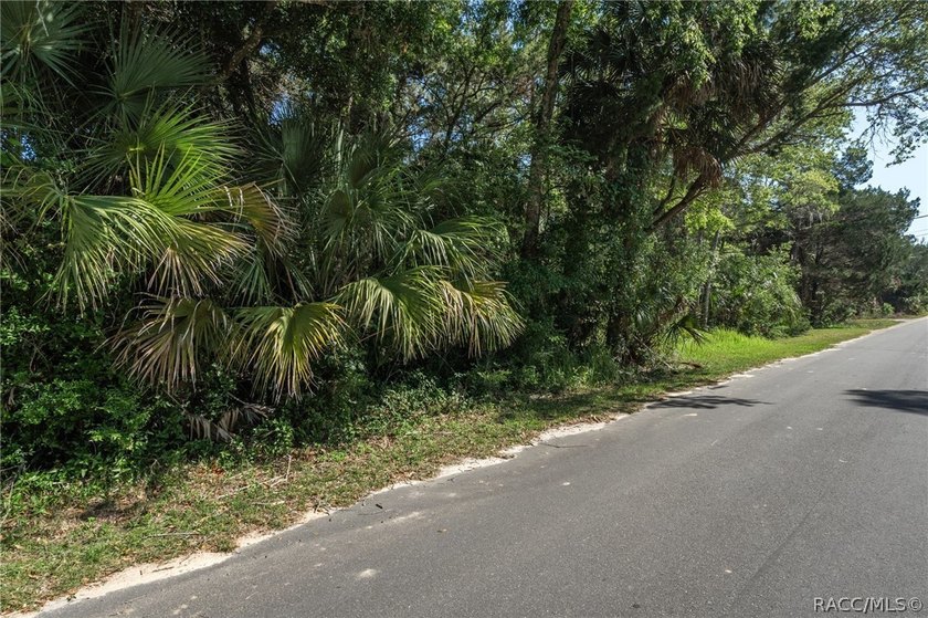 WATEFRONT/Vacant Land. Seller Motivated. Rare opportunity to own - photo 2