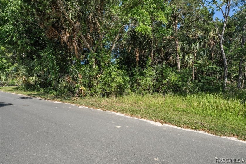WATEFRONT/Vacant Land. Seller Motivated. Rare opportunity to own - photo 3