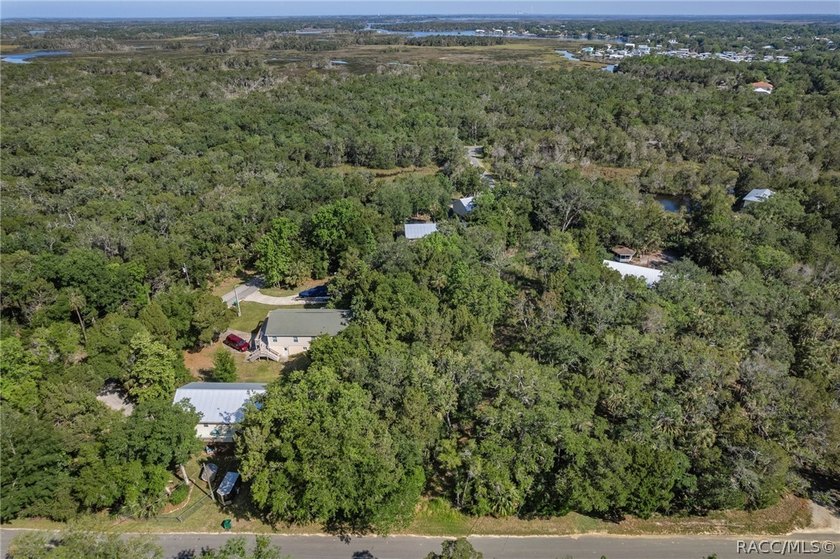WATEFRONT/Vacant Land. Seller Motivated. Rare opportunity to own - photo 5