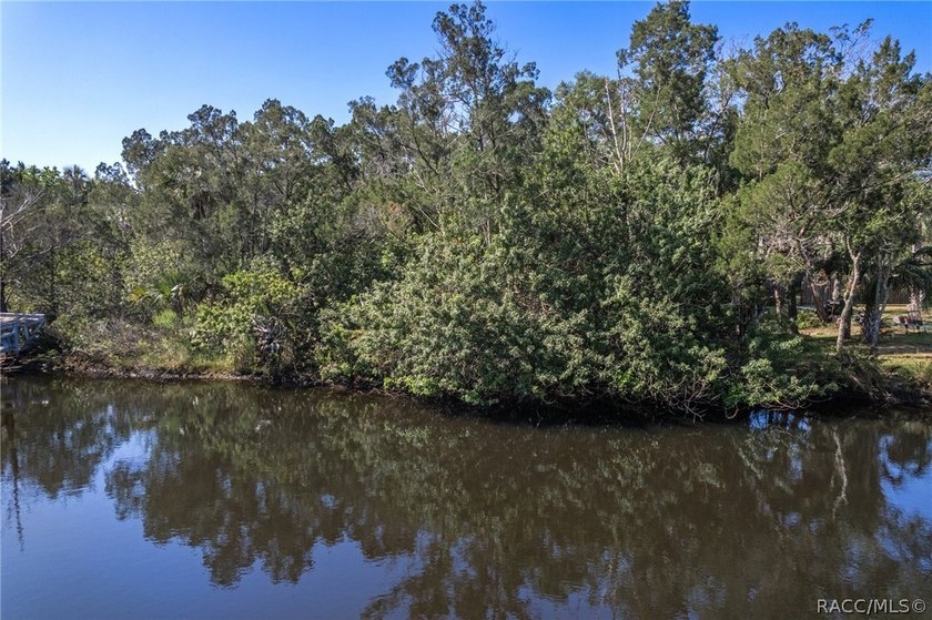 WATEFRONT/Vacant Land. Seller Motivated. Rare opportunity to own - photo 6