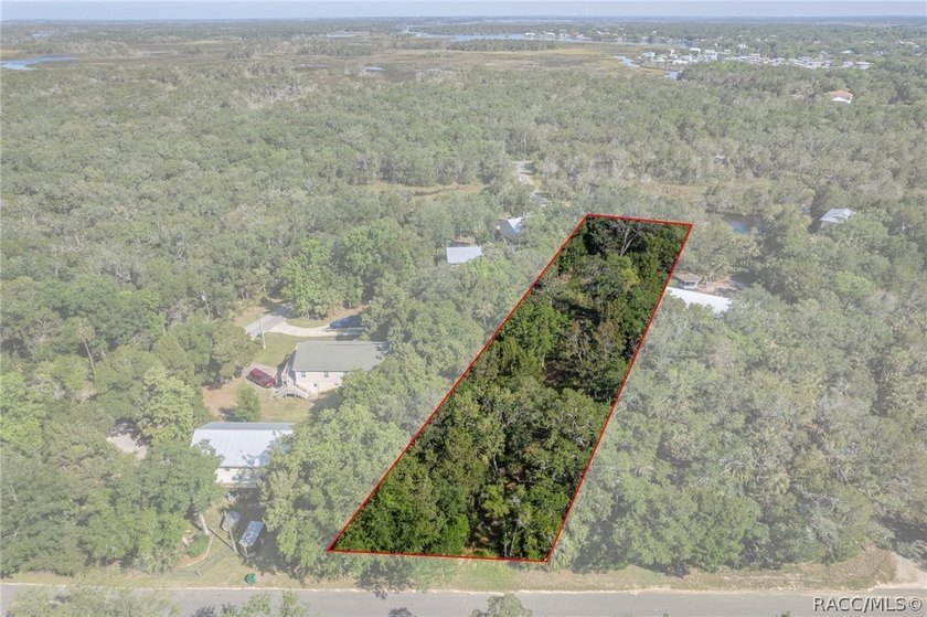 WATEFRONT/Vacant Land. Seller Motivated. Rare opportunity to own - photo 8