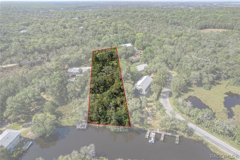 WATEFRONT/Vacant Land. Seller Motivated. Rare opportunity to own - photo 9