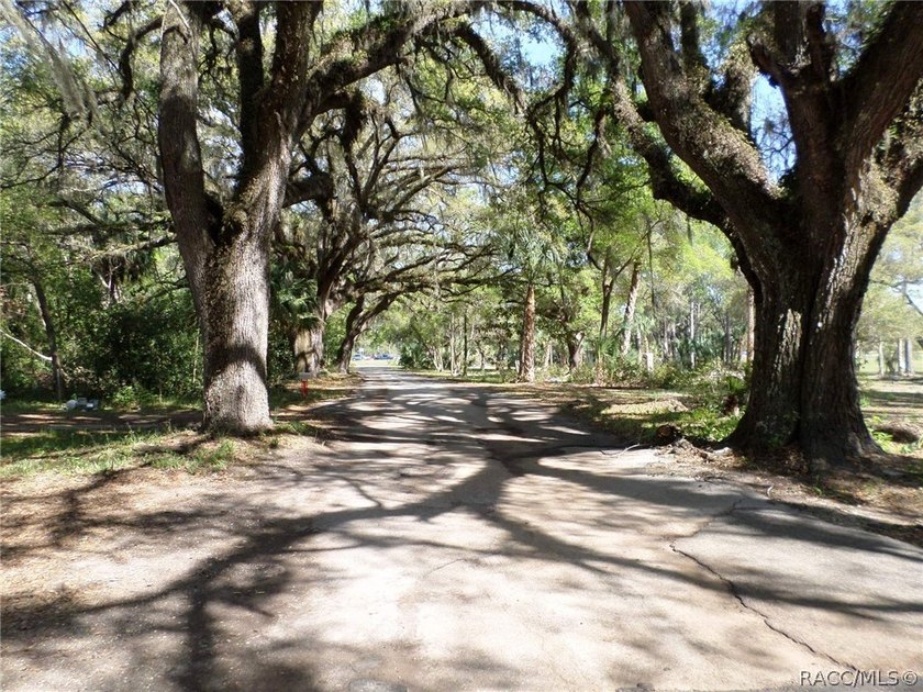 Located in South Dunnellon near the junction of US 41 and - photo 34