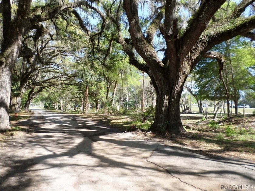 Located in South Dunnellon near the junction of US 41 and - photo 35