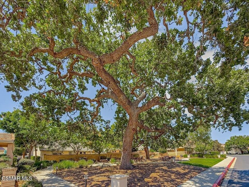 This Casa Flores residence stands apart for its pride of - photo 29
