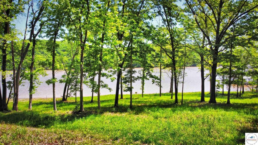 This is a hard one to find, so don't wait! 27+/- acres of - photo 20