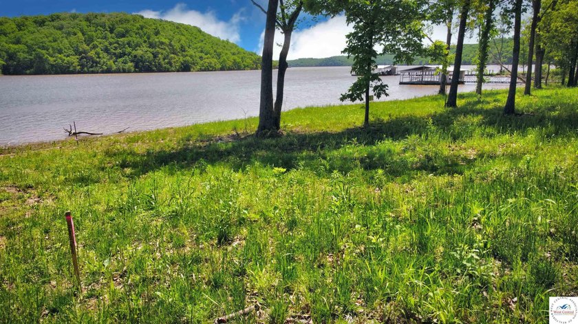 This is a hard one to find, so don't wait! 27+/- acres of - photo 21