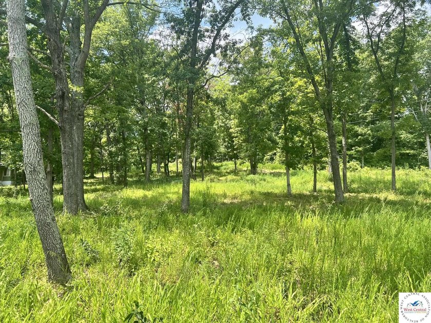 This is a hard one to find, so don't wait! 27+/- acres of - photo 24