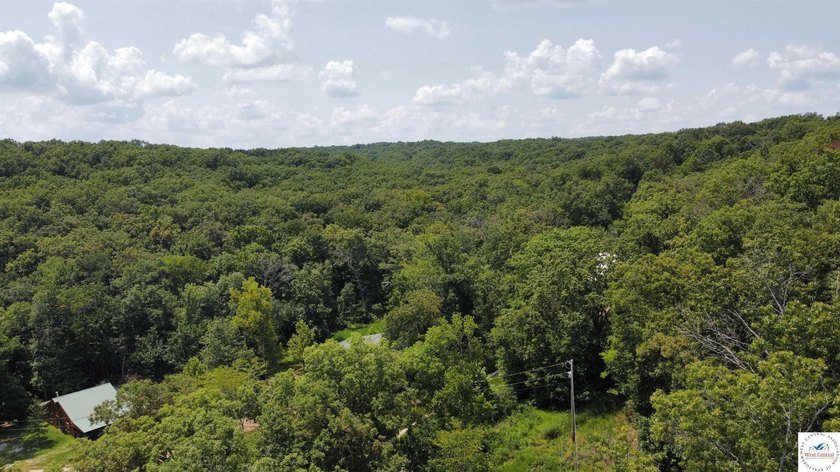 This is a hard one to find, so don't wait! 27+/- acres of - photo 31