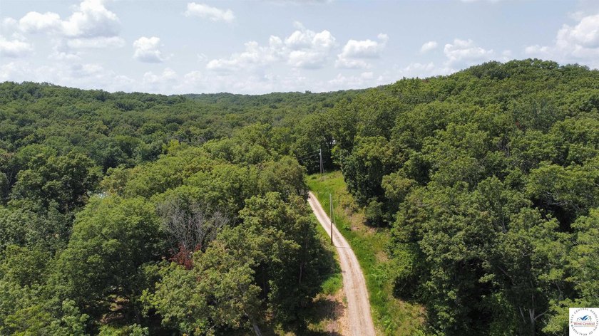 This is a hard one to find, so don't wait! 27+/- acres of - photo 33