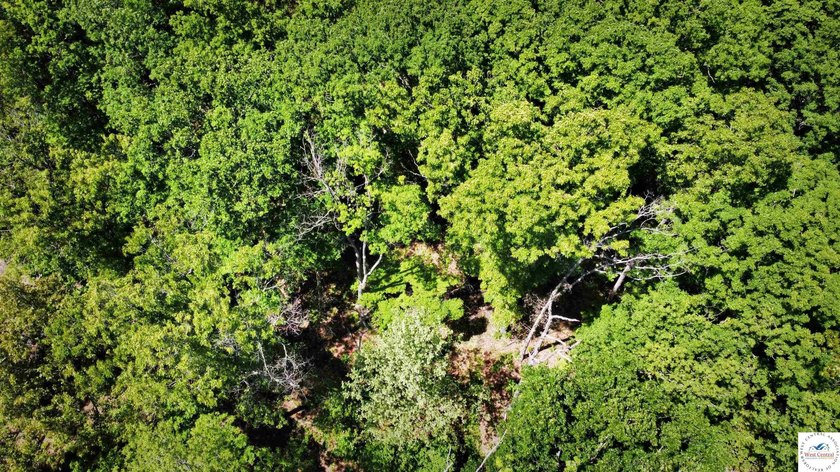 This is a hard one to find, so don't wait! 27+/- acres of - photo 34
