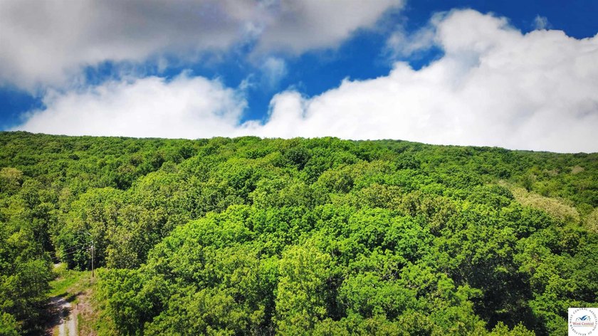 This is a hard one to find, so don't wait! 27+/- acres of - photo 35