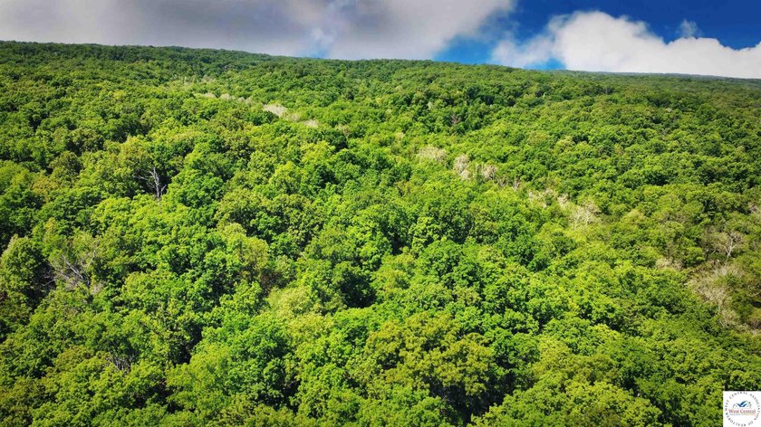 This is a hard one to find, so don't wait! 27+/- acres of - photo 38
