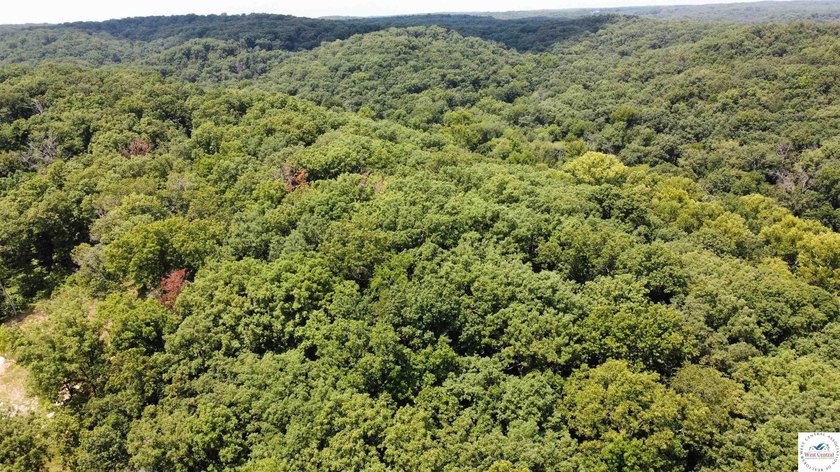 This is a hard one to find, so don't wait! 27+/- acres of - photo 41
