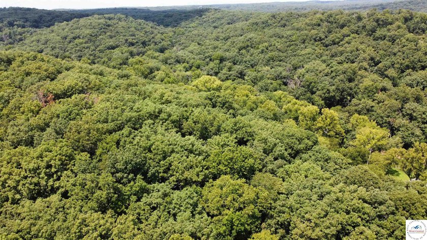 This is a hard one to find, so don't wait! 27+/- acres of - photo 43