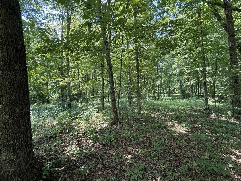 Welcome to Lot Number 20, a hidden gem nestled in the Newpointe - photo 9