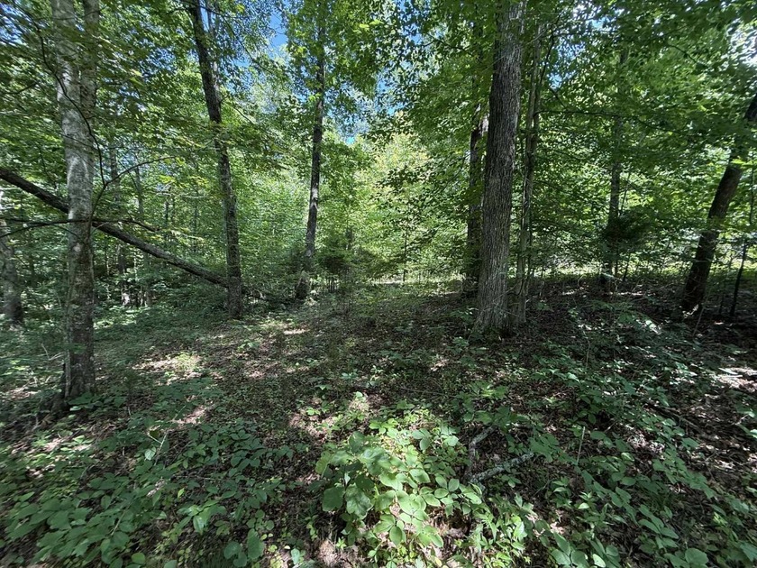 Welcome to Lot Number 20, a hidden gem nestled in the Newpointe - photo 10